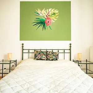 Colors Apartment