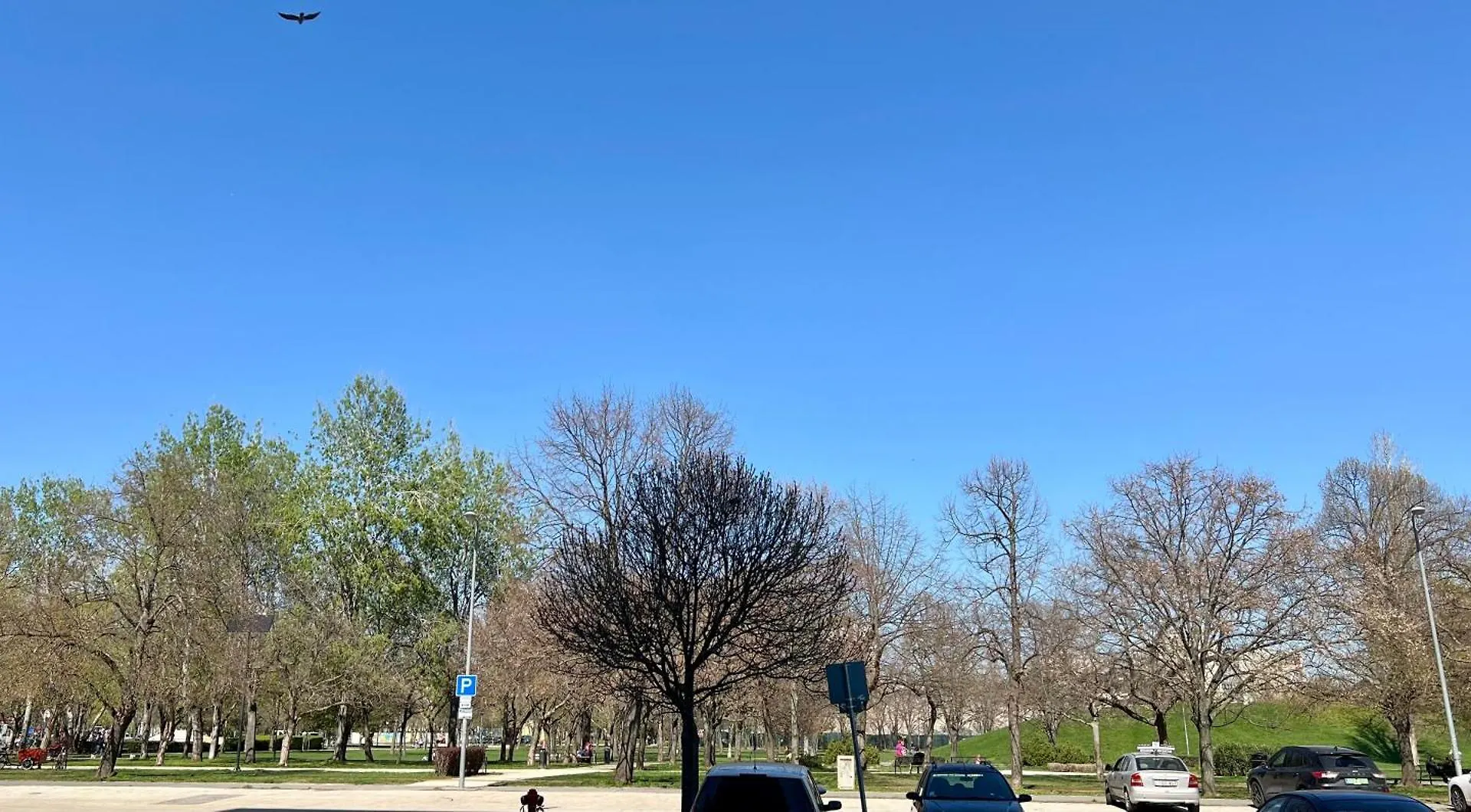 Green Park Budapest